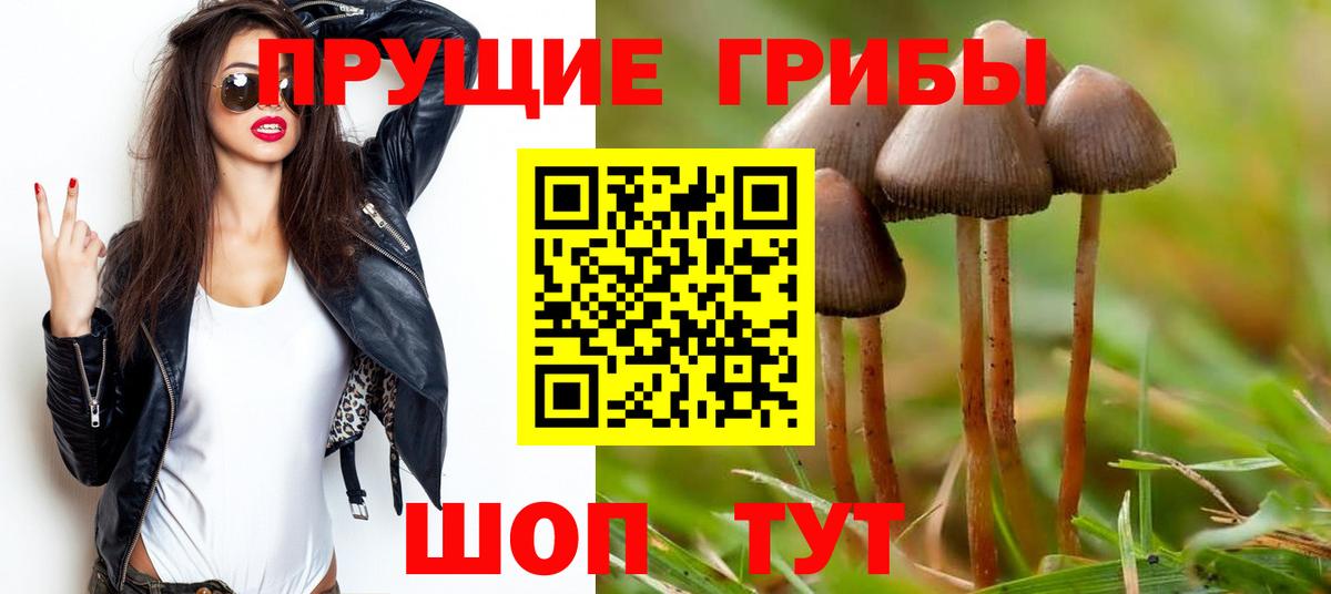 Назрань  Псилоцибиновые грибы MAGIC MUSHROOMS  Вход с VPN  где купить   Псилоцибиновые грибы Magic Shrooms 