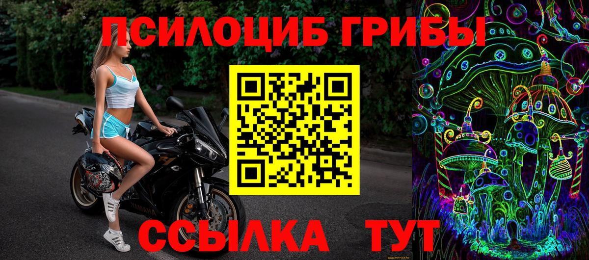 Галлюциногенные грибы Psilocybine cubensis Назрань